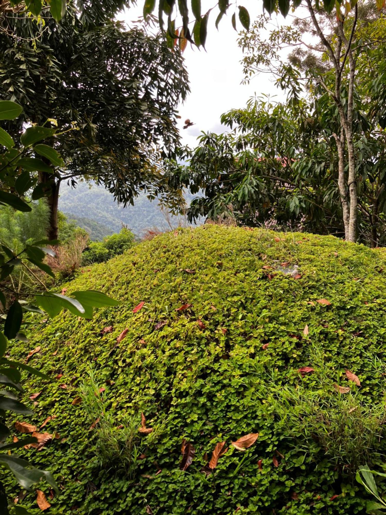 The Cloud Resort Kadugannawa Buitenkant foto